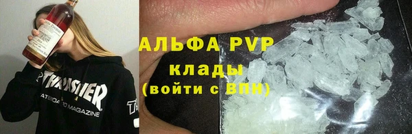 гидра Волоколамск