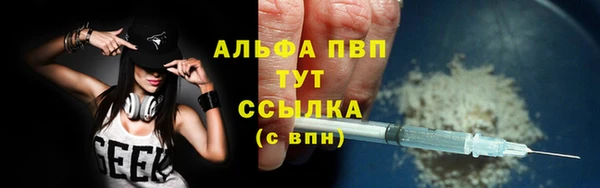 амф Вязьма