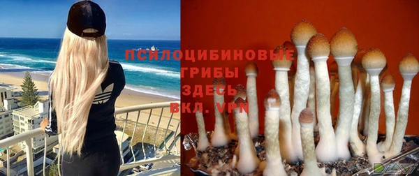 гашиш Володарск